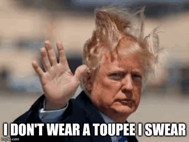donald trump is wearing a toupee and making a funny face .