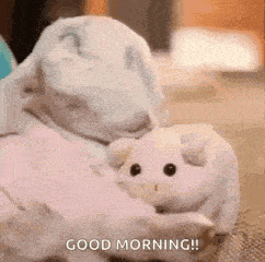 a baby goat is sleeping next to a stuffed pig and says `` good morning '' .