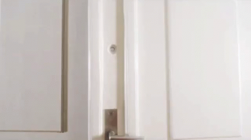 Opening The Door Entrance GIF - Opening The Door Entrance Entering GIFs