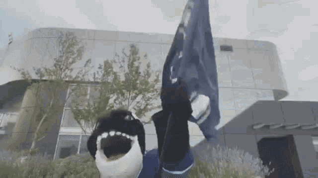 Vancouver Canucks Fin The Whale GIF - Vancouver Canucks Fin The Whale Go Canucks Go GIFs