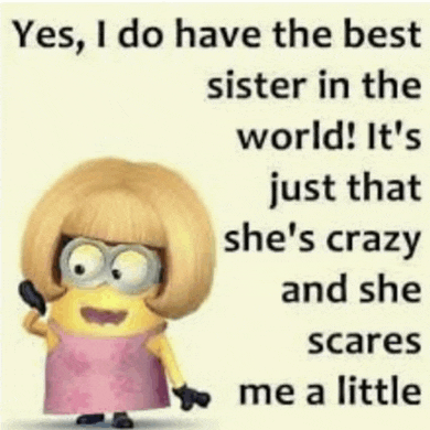 a picture of a minion with a quote about having a sister in the world .