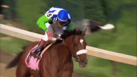 Horse Jockey GIF - Jockey Horse Horse Jockey GIFs