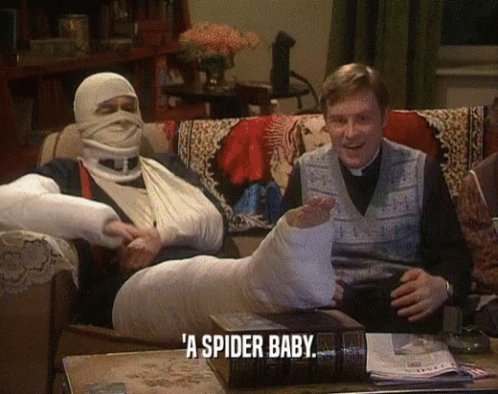 Father Ted Spider Baby GIF - Father Ted Spider Baby Banged Up GIFs