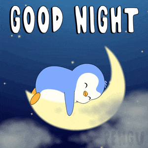 pengu-pudgy.gif