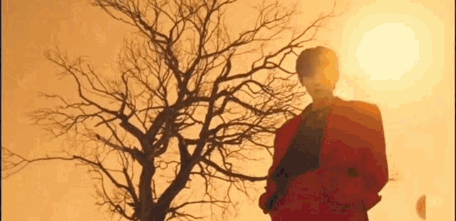 a man in a red jacket is standing in front of a tree looking at the sun .