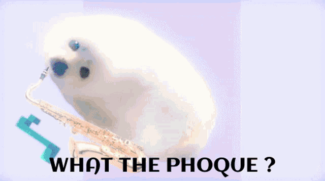 a picture of a seal playing a saxophone with the words " hat the phoque " below it
