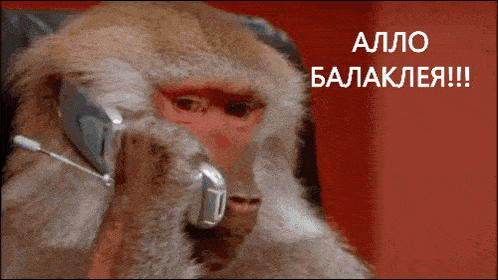 a monkey is wearing a headset with the words " allo balaklea !!! " written on it