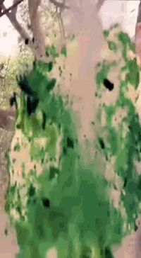 a painting of a tree with green paint on it