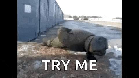 a man is doing push ups in the snow with the words try me behind him .