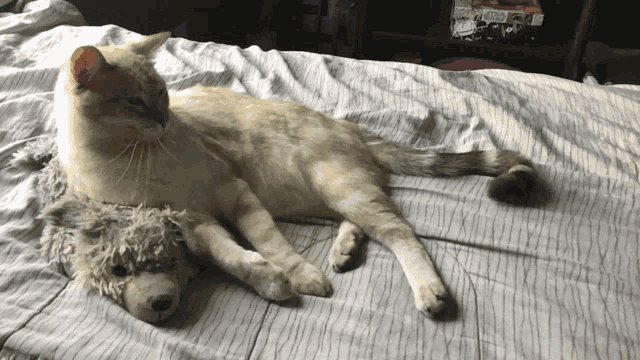 a cat is laying on a bed next to a stuffed animal that looks like a dog