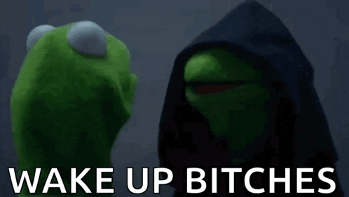 kermit the frog is standing next to a muppet wearing a black hood and the words wake up bitches are above them .