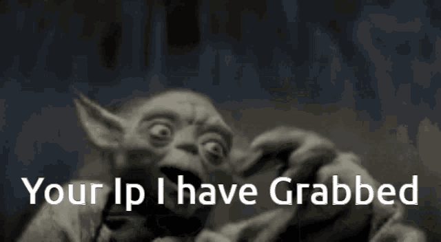 a black and white photo of yoda with the words " your ip i have grabbed " on the bottom