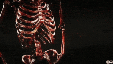 a bloody skeleton with the words the terminator wins