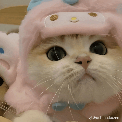 a close up of a cat wearing a hat with a face on it