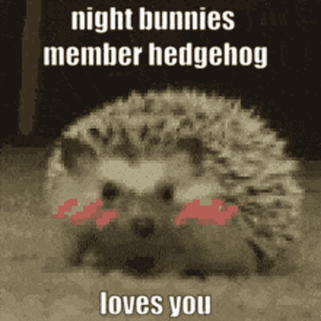 a picture of a hedgehog with the words night bunnies member hedgehog loves you on it
