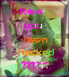 Have You Been Hacked Vec50hacked GIF - Have You Been Hacked Vec50hacked Report GIFs