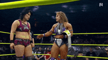 two female wrestlers are standing in a wrestling ring and talking to each other .