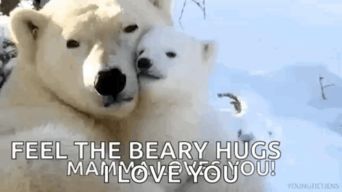 Love Polarbear GIF - Love Polarbear Cuddle GIFs