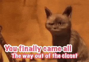 a cat with the words " you finally came all the way out of the closet "