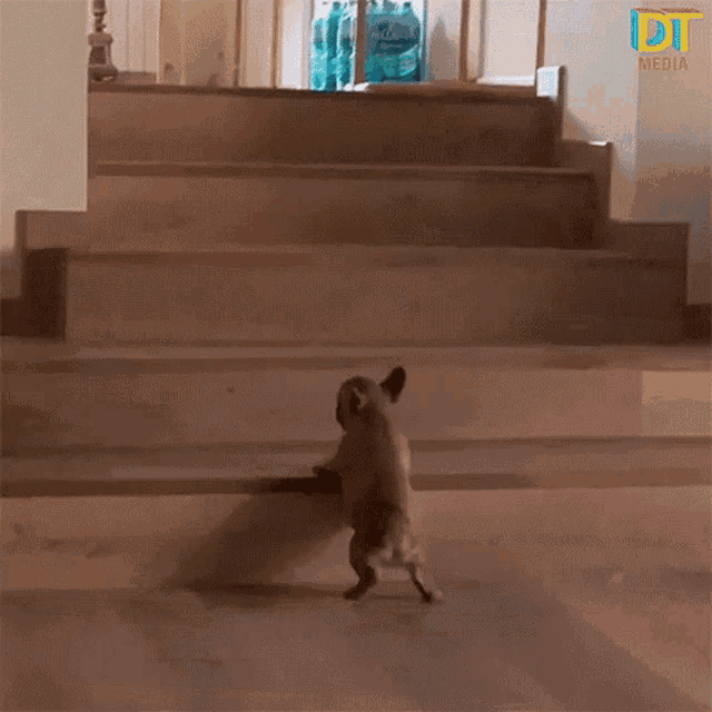 Coming Stairs GIF - Coming Stairs Struggle GIFs