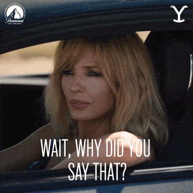 a woman sitting in a car with the words " wait why did you say that "