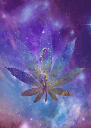Marijuana Smoking GIF - Marijuana Smoking Weed GIFs