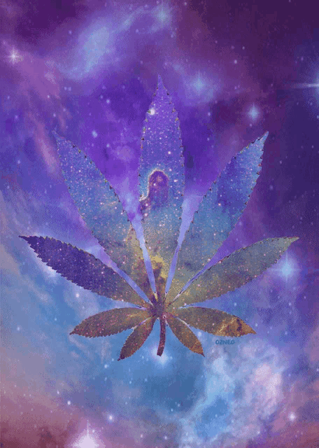 a marijuana leaf is surrounded by a purple background