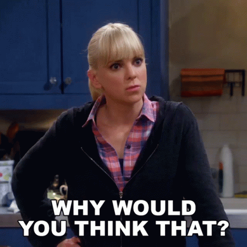 Why Would You Think That Christy Plunkett GIF - Why Would You Think That Christy Plunkett Anna Faris GIFs