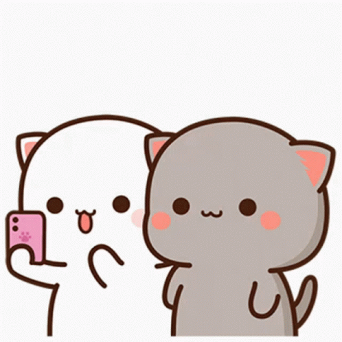 Couple Cats GIF - Couple Cats Selfie GIFs