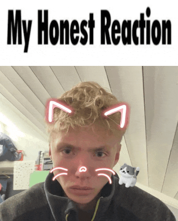 a picture of a boy with cat ears and the words my honest reaction above him
