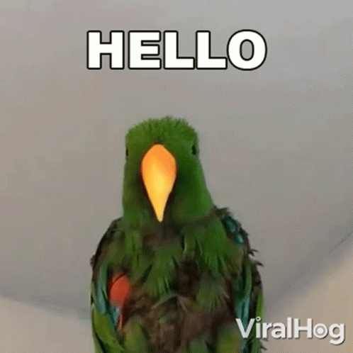 Hello Viralhog GIF - Hello Viralhog Hey GIFs