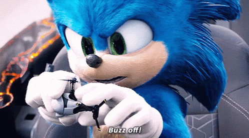 Sonic The Hedgehog Buzz Off GIF - Sonic The Hedgehog Buzz Off Go Away GIFs
