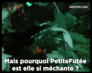 a close up of a plant with the words `` mais pourquoi petite futée est elle si méchante '' written on it .