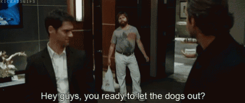 a man in a suit says hey guys you ready to let the dogs out ?