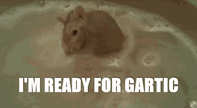 Gartic Rat GIF - Gartic Rat Phone GIFs