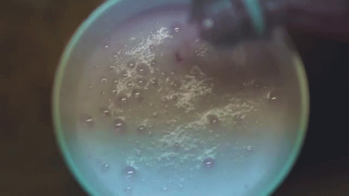 Soda Pink Soda GIF - Soda Pink Soda Bubbles GIFs