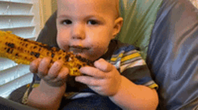 Baby Corn GIF - Baby Corn Hungry GIFs