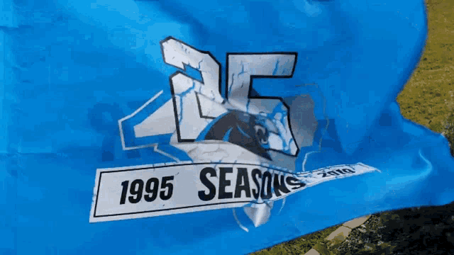 a blue flag that says 1995 seasons in white letters