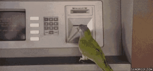 Parrot Atm GIF - Parrot Atm Card GIFs