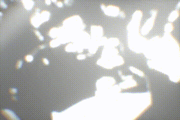 a black and white image of a shadow of a person