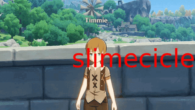 a video game character named timmie is standing on a wall