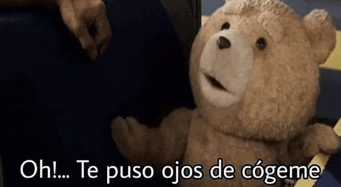 a teddy bear is sitting next to a person .