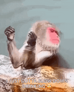 a monkey with a red face is sitting on a rock and says `` i just gotta slow down drinking ''
