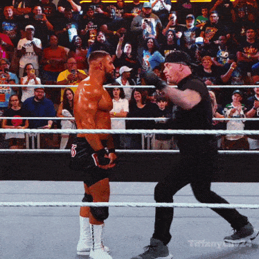 two wrestlers in a ring with a crowd behind them and the words tiffany liv24 on the bottom right