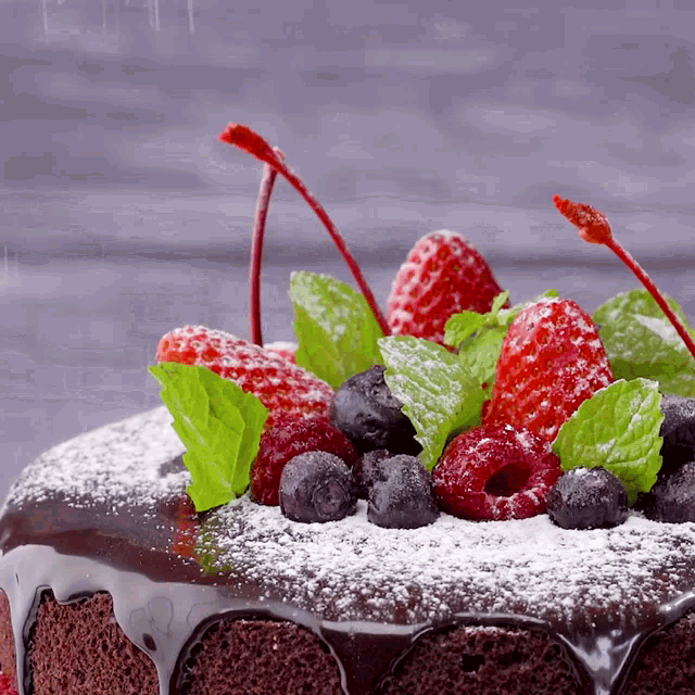 a chocolate cake with berries and mint leaves on top