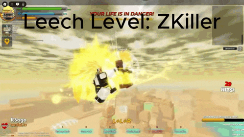 a screenshot of a video game with the words leech level zkiller on it