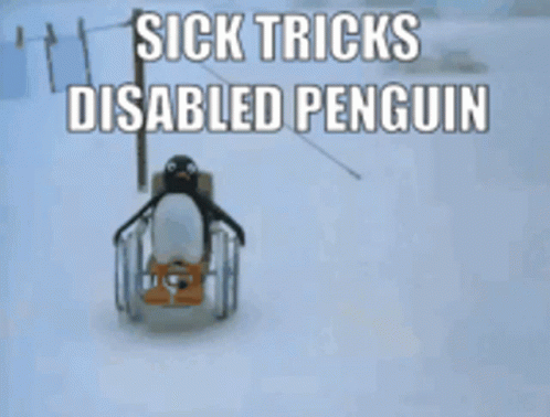 Pingu Penguin GIF - Pingu Penguin Sick Tricks GIFs