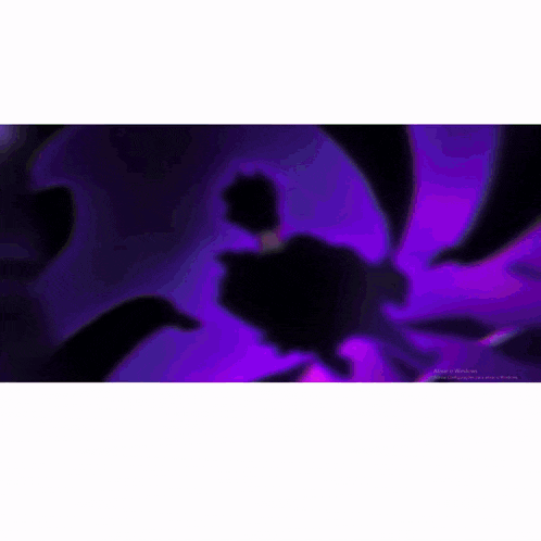a purple and green background with a purple flower in the middle of it