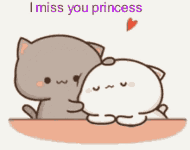 two cartoon cats are sitting next to each other with the words `` i miss you princess '' above them .