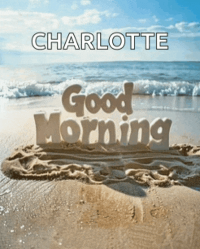 the word charlotte is on a sandy beach